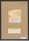 Coscinodiscus mirificus Castrac. (de-Toni-Nr.: Genus 202, Species 5004) Zeichnungen Sammlung Grunow Nr. 8720 (NHMW-BOT-W0378295)